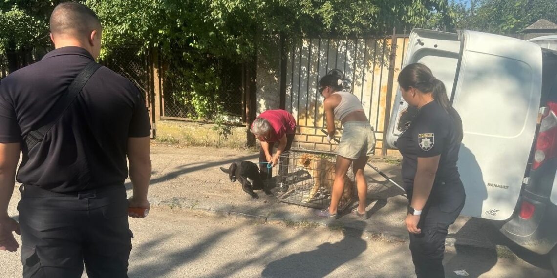 Власницю собак, що нападали на ужгородців, притягнули до відповідальності (ФОТО)