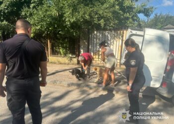 Власницю собак, що нападали на ужгородців, притягнули до відповідальності (ФОТО)