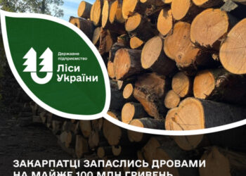 Закарпатці з початку року запаслись дровами на майже 100 млн гривень