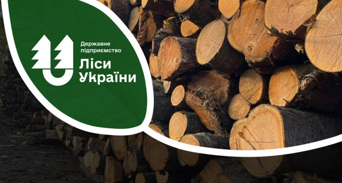 Закарпатці з початку року запаслись дровами на майже 100 млн гривень