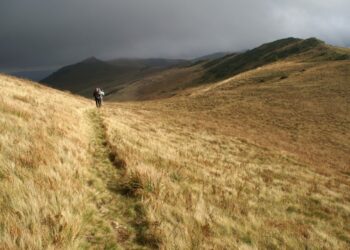 Закарпаття втрачає туристичний потенціал через рішення про будівництво вітряків – експерт