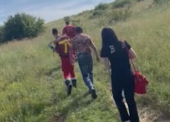 Жінку в стані глибокої коми знайшли в лісі на Закарпатті (ФОТО)