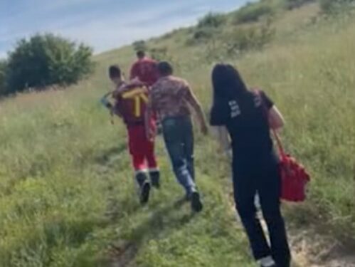 Жінку в стані глибокої коми знайшли в лісі на Закарпатті (ФОТО)