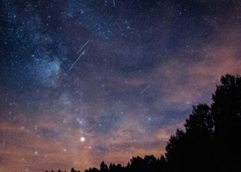 Зірки, що падають: коли в Україні можна буде побачити пік зорепаду Персеїд –