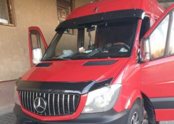 Виявили у бусику після того, як відкрили його: стало відомо про випадок на Закарпатті — Закарпаття