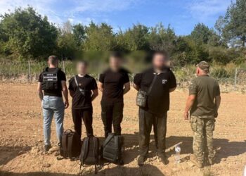 Вартість послуг коливалась від 14 500 до 20 000 доларів: що коїлось в області — Закарпаття