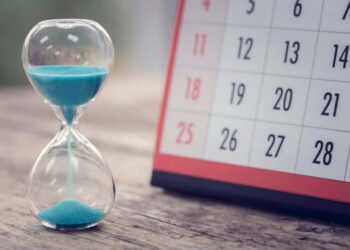 Новий рік 2026 — рік якої тварини та що він символізує — Закарпаття