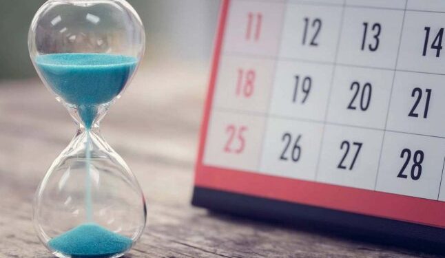 Новий рік 2026 — рік якої тварини та що він символізує — Закарпаття