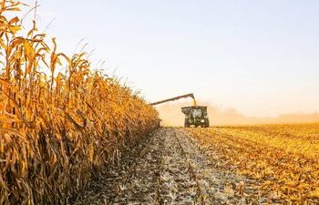 На Закарпатті завершили збір ранніх сільськогосподарських культур — Ужгород