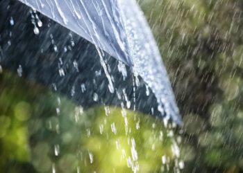 Сильні дощі з грозами: скільки триватиме негода, яка насувається на область — Закарпаття