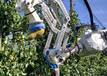 Нідерландські дослідники працюють над роботом для збирання фруктів – Техніка