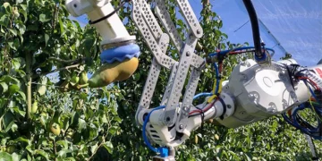 Нідерландські дослідники працюють над роботом для збирання фруктів – Техніка