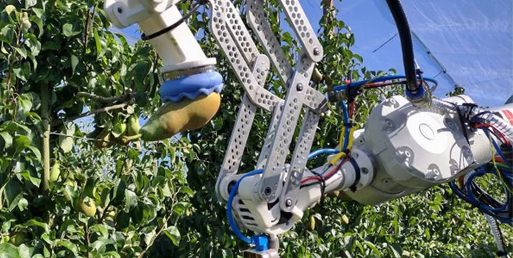 Нідерландські дослідники працюють над роботом для збирання фруктів – Техніка