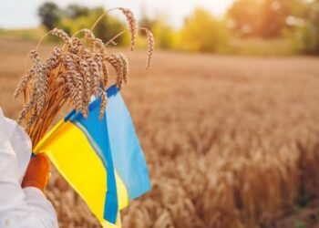 1 жовтня для України важливий день: чи дадуть посеред тижня вихідний — Закарпаття