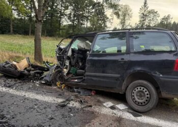 У Чехії в трагічній аварії загинули троє закарпатців — Закарпаття