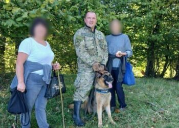 Службовий собака допоміг розшукати жінку, яка пішла в ліс та загубилась — Закарпаття