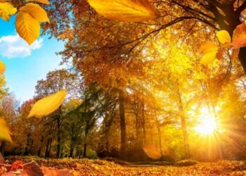 Наближається особливий день: коли осіннє рівнодення 2025 — Закарпаття