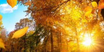 Наближається особливий день: коли осіннє рівнодення 2025 — Закарпаття
