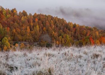 Погода погіршиться: синоптики розповіли, коли прийде похолодання — Закарпаття