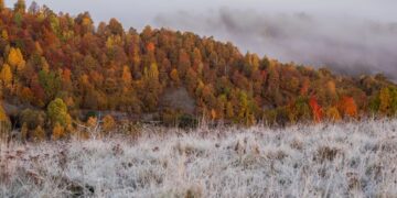 Погода погіршиться: синоптики розповіли, коли прийде похолодання — Закарпаття