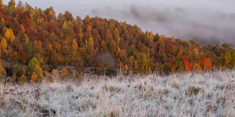 Погода погіршиться: синоптики розповіли, коли прийде похолодання — Закарпаття