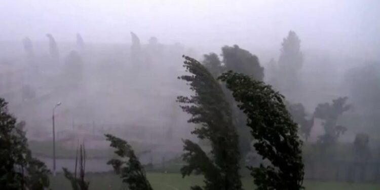 Бабине літо на Закарпатті: після теплих вихідних очікується різке похолодання –