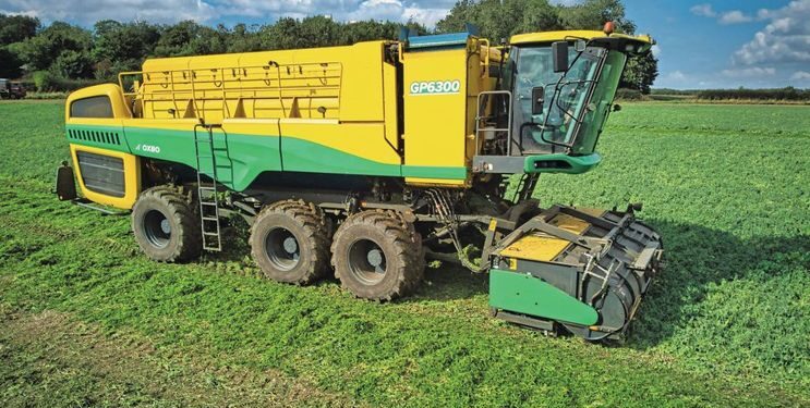 Oxbo представить новий горохозбиральний комбайн GP6300 у 2026 році – Техніка