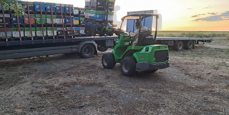 Мобільний застосунок фіксує переміщення та розміщення бджолосімей – Техніка