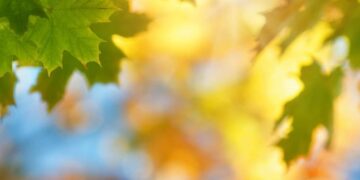 Якою буде погода на вихідні та 1 вересня, коли почнеться навчання в школах — Закарпаття