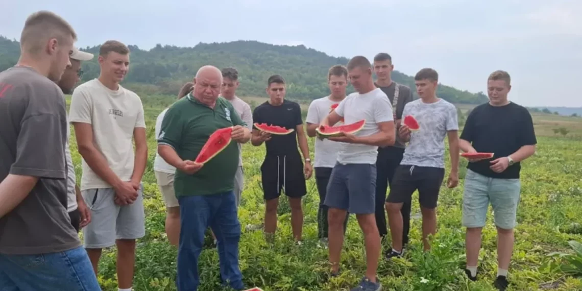 Економіка: Кавуни Талісман, Продюсер, Авалон, Карістан, Фарао навчали вирощувати на Львівщині