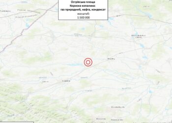 Економіка: ПП «Нордік» Зіновія Козицького ініціювало аукціон з продажу газонафтоносної Острівської площі на Львівщині
