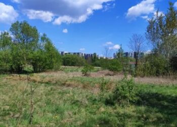 Економіка: Великий земельний розпродаж у Львові. Що пропонують і за яку ціну