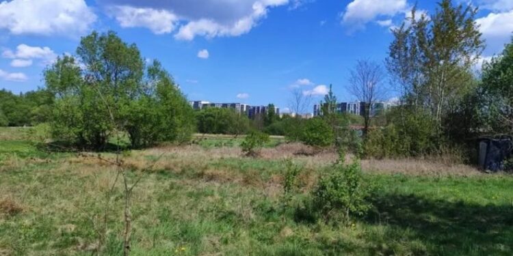 Економіка: Великий земельний розпродаж у Львові. Що пропонують і за яку ціну
