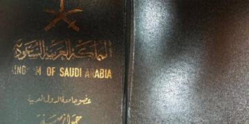 Фальшивий паспорт Саудівської Аравії та 100 тис. грн хабаря не врятували порушника