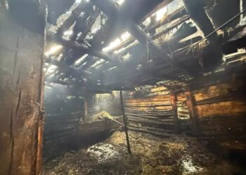 На Берегівщині з пожежі врятували 5-річного хлопчика (ФОТО)