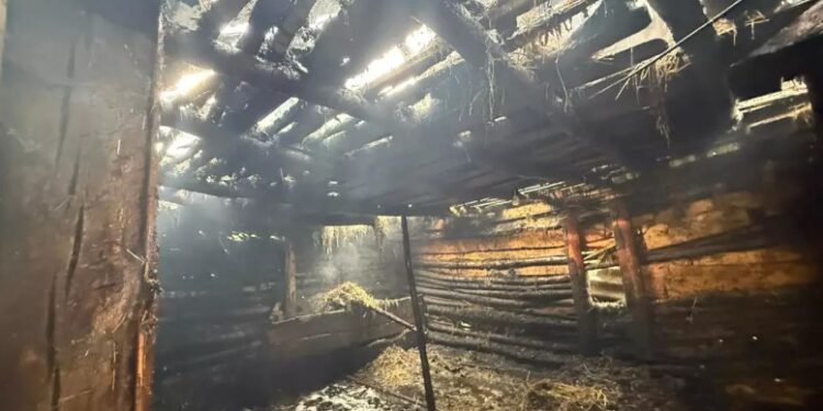 На Берегівщині з пожежі врятували 5-річного хлопчика (ФОТО)