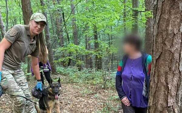 На Хустщині поліцейський собака Іві знайшов 53-річну жінку, яка заблукала в лісі –