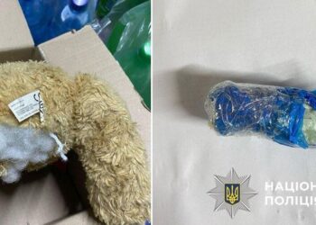 На Рахівщині судитимуть торговця наркотиками, який ховав «товар» у дитячій іграшці (ФОТО)