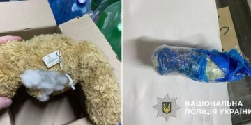 На Рахівщині судитимуть торговця наркотиками, який ховав «товар» у дитячій іграшці (ФОТО)