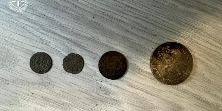 На Закарпатті судитимуть «чорного археолога» за спробу продати унікальний скарб (ФОТО)