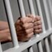 На Закарпатті судитимуть керівницю компанії за спробу незаконного відшкодування ПДВ –