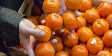 На Закарпатті судитимуть підприємицю за спробу незаконного відшкодування ПДВ на  понад 1 млн грн