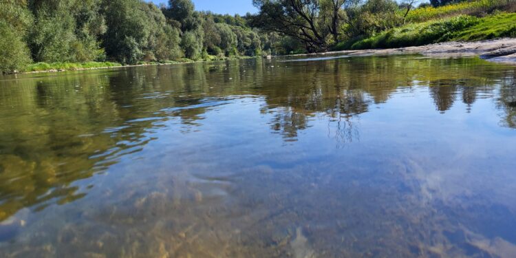 Нацпарки Закарпаття оновлюють інфраструктуру та екомаршрути (ФОТО) –