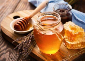 Новини України: Україна посіла третє місце серед провідних світових експортерів меду. Куди поставляє