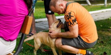 Операція “Друг для Героя”: поліція Закарпаття долучила собак до реабілітації поранених захисників (ФОТО) –
