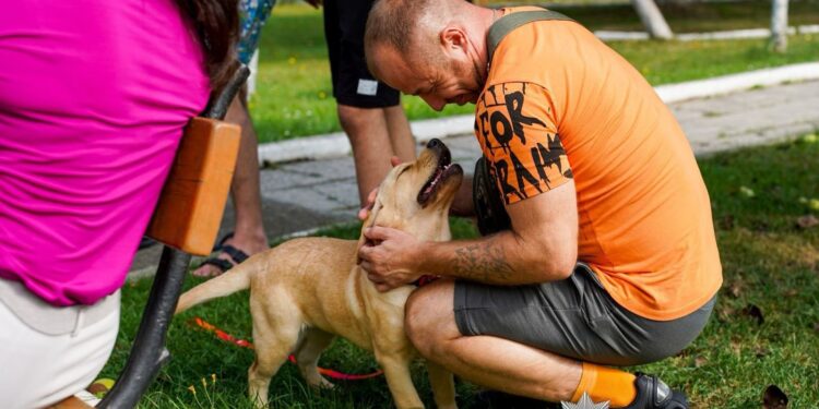 Операція “Друг для Героя”: поліція Закарпаття долучила собак до реабілітації поранених захисників (ФОТО) –