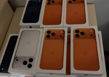 Перші “яблучні” контрабандисти: митники на Закарпатті затримали 29 iPhone 17 Pro (ФОТО) –