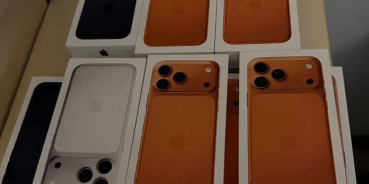 Перші “яблучні” контрабандисти: митники на Закарпатті затримали 29 iPhone 17 Pro (ФОТО) –