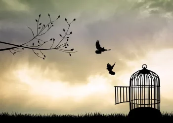 Психическое здоровье во время войны – Какое психологическое состояние у украинцев и как это влияет на экономику – Здоров’я