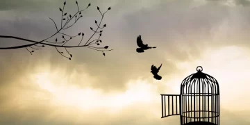 Психическое здоровье во время войны – Какое психологическое состояние у украинцев и как это влияет на экономику – Здоров’я